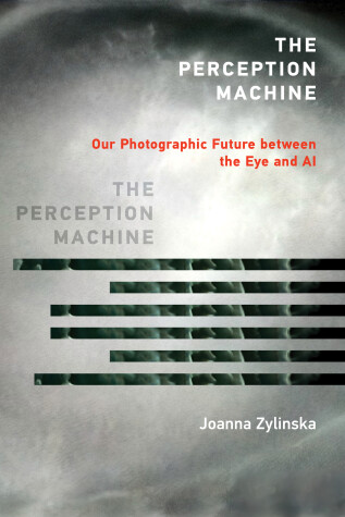 Book cover for The Perception Machine