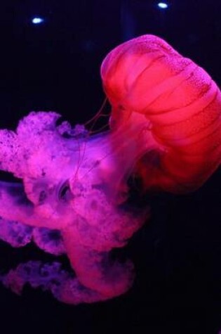 Cover of Beautiful Jellyfish Glowing Red and Purple