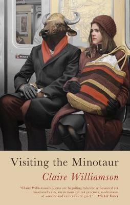 Book cover for Visiting the Minotaur