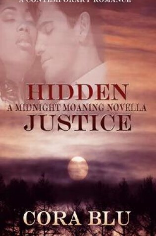 Cover of Hidden Justice