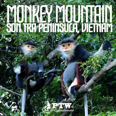Book cover for Monkey Mountain Son Tra Peninsula, Vietnam