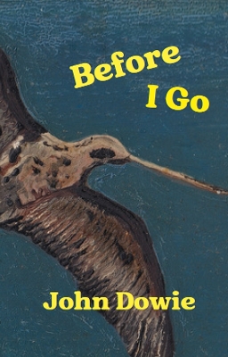 Book cover for Before I Go