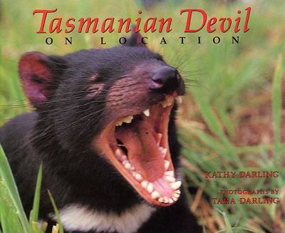 Book cover for Tasmanian Devil: On Location