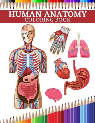 Book cover for Human Anatomy Coloring Book