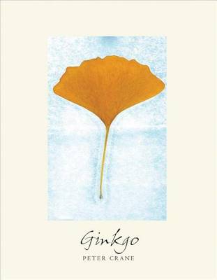 Book cover for Ginkgo: The Tree That Time Forgot