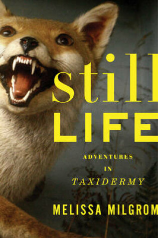 Cover of Still Life