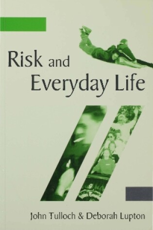 Cover of Risk and Everyday Life