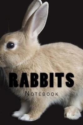 Book cover for Rabbits