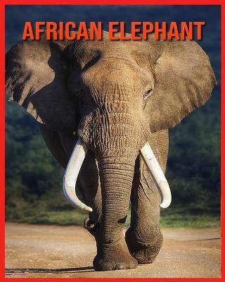 Book cover for African Elephant