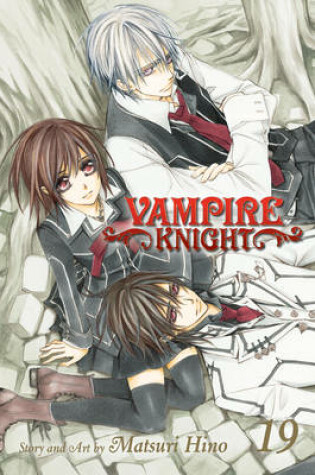 Cover of Vampire Knight Limited Edition, Vol. 19