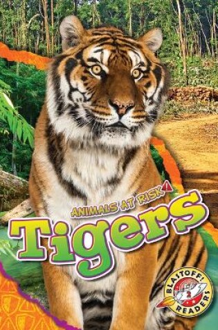 Cover of Tigers