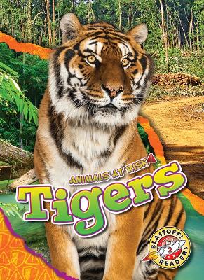 Book cover for Tigers