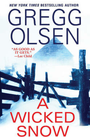 Cover of A Wicked Snow