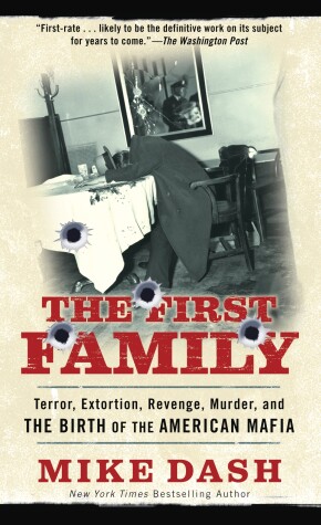 Book cover for The First Family