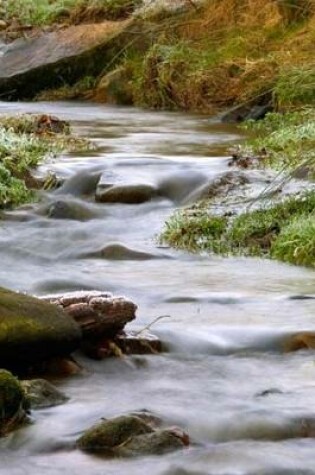 Cover of A Fast Flowing Creek in Boulder, Colorado