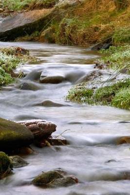 Book cover for A Fast Flowing Creek in Boulder, Colorado