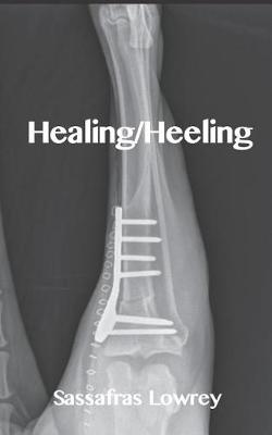 Book cover for Healing/Heeling