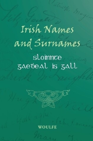 Cover of Sloinnte Gaedeal is Gall (Irish Names and Surnames)