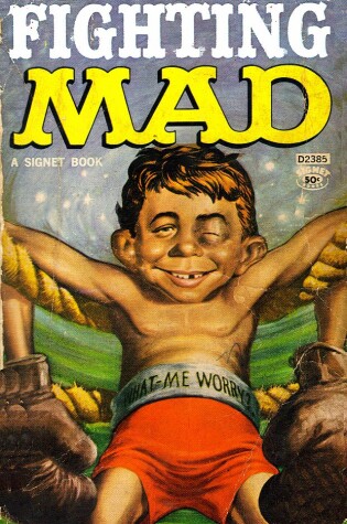 Cover of Fighting Mad