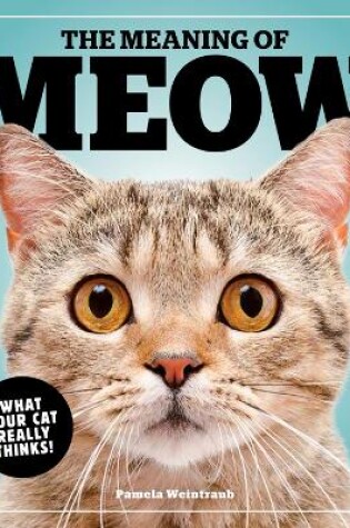 Cover of The Meaning Of Meow