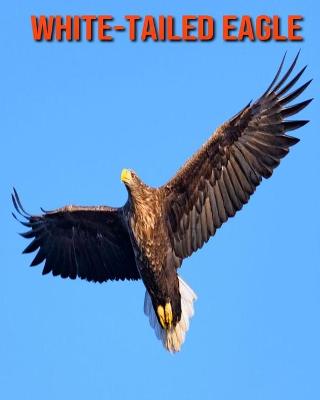 Book cover for White-Tailed Eagle