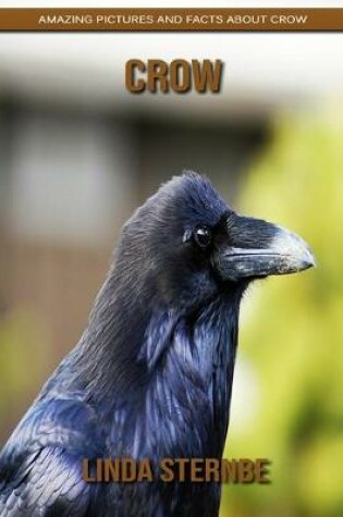 Cover of Crow