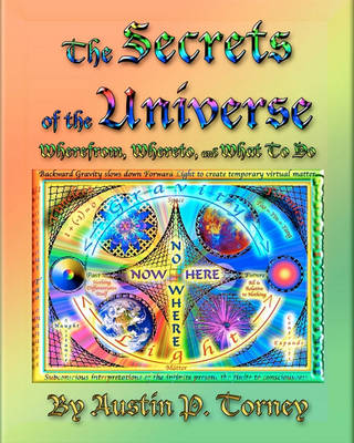 Book cover for The Secrets Of The Universe