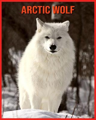 Book cover for Arctic wolf