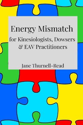 Book cover for Energy Mismatch