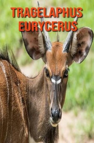 Cover of Tragelaphus eurycerus