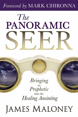 Book cover for The Panoramic Seer