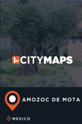 Cover of City Maps Amozoc de Mota Mexico