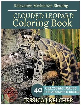 Book cover for Clouded Leopard Coloring Book for Adults Relaxation Meditation Blessing