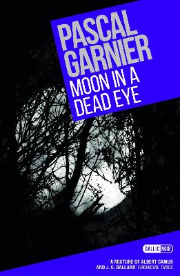 Book cover for Moon in a Dead Eye: Shocking, hilarious and poignant noir