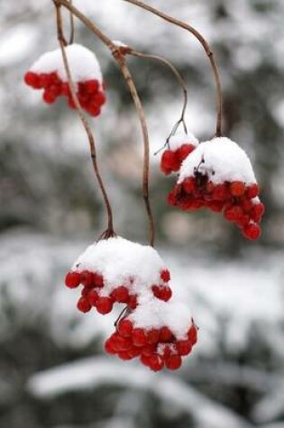 Cover of Red Berries Covered in Snow Winter Journal