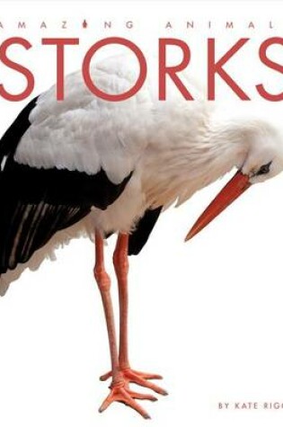 Cover of Storks