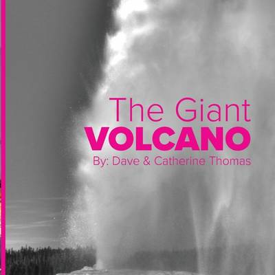 Book cover for The Giant Volcano