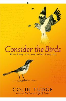 Book cover for Consider the Birds