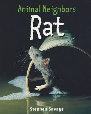 Book cover for Rat