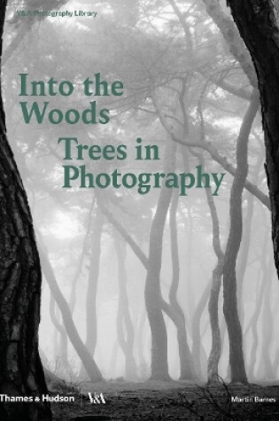 Cover of Into the Woods: Trees in Photography