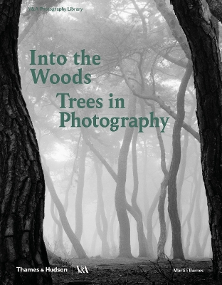 Book cover for Into the Woods: Trees in Photography