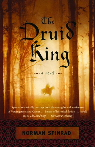 Book cover for The Druid King