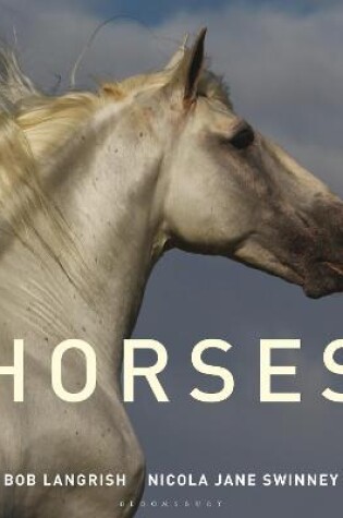 Cover of Horses