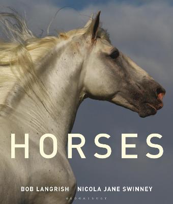 Book cover for Horses