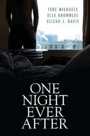 Cover of One Night Ever After