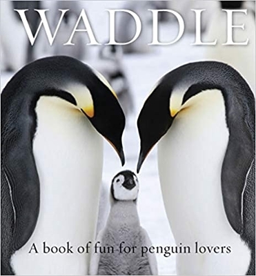 Book cover for Waddle
