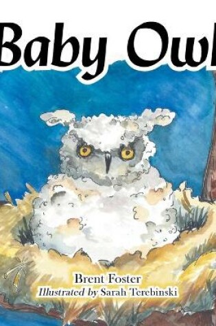 Cover of Baby Owl