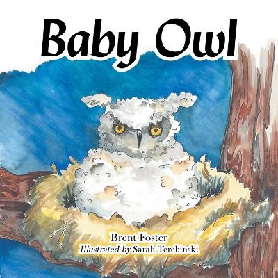 Book cover for Baby Owl