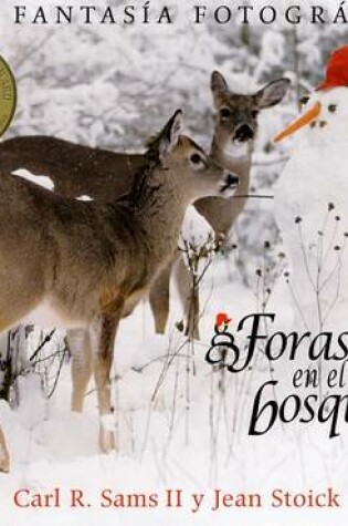 Cover of Forastero En El Bosque