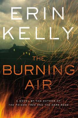 Book cover for The Burning Air